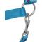 Show in main carousel: Tough1 Nylon Padded Halter with Satin Horse Hardware, Turquoise, Yearling slide 3 of 5
