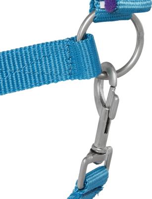 Show full view: Tough1 Nylon Padded Halter with Satin Horse Hardware, Turquoise, Yearling slide 3 of 5