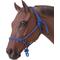 Show in main carousel: Tough1 Poly Rope Tied Horse Halter, Royal Blue slide 1 of 2