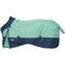 Show in main carousel: Tough1 1200D Turnout Blanket with Snuggit, 300-g, Sea Glass, 75-in slide 1 of 2
