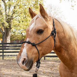 Tough1 Knotted Rope & Twisted Crown Training Horse Halter, Black slide 2 of 3