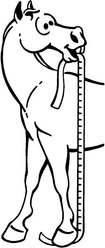 Tough1 Sure Measure Horse & Pony Height & Weight Tape slide 2 of 3