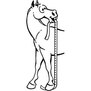 Tough1 Sure Measure Horse & Pony Height & Weight Tape