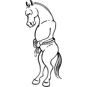 Tough1 Sure Measure Horse & Pony Height & Weight Tape