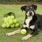 Show in main carousel: Tourna Pressureless Tennis Balls Dog Toy, 18 count slide 2 of 6