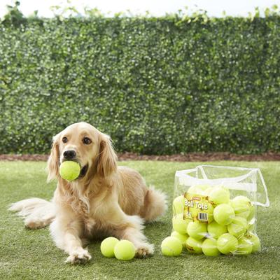 Show full view: Tourna Pressureless Tennis Balls Dog Toy, 45 count slide 3 of 7