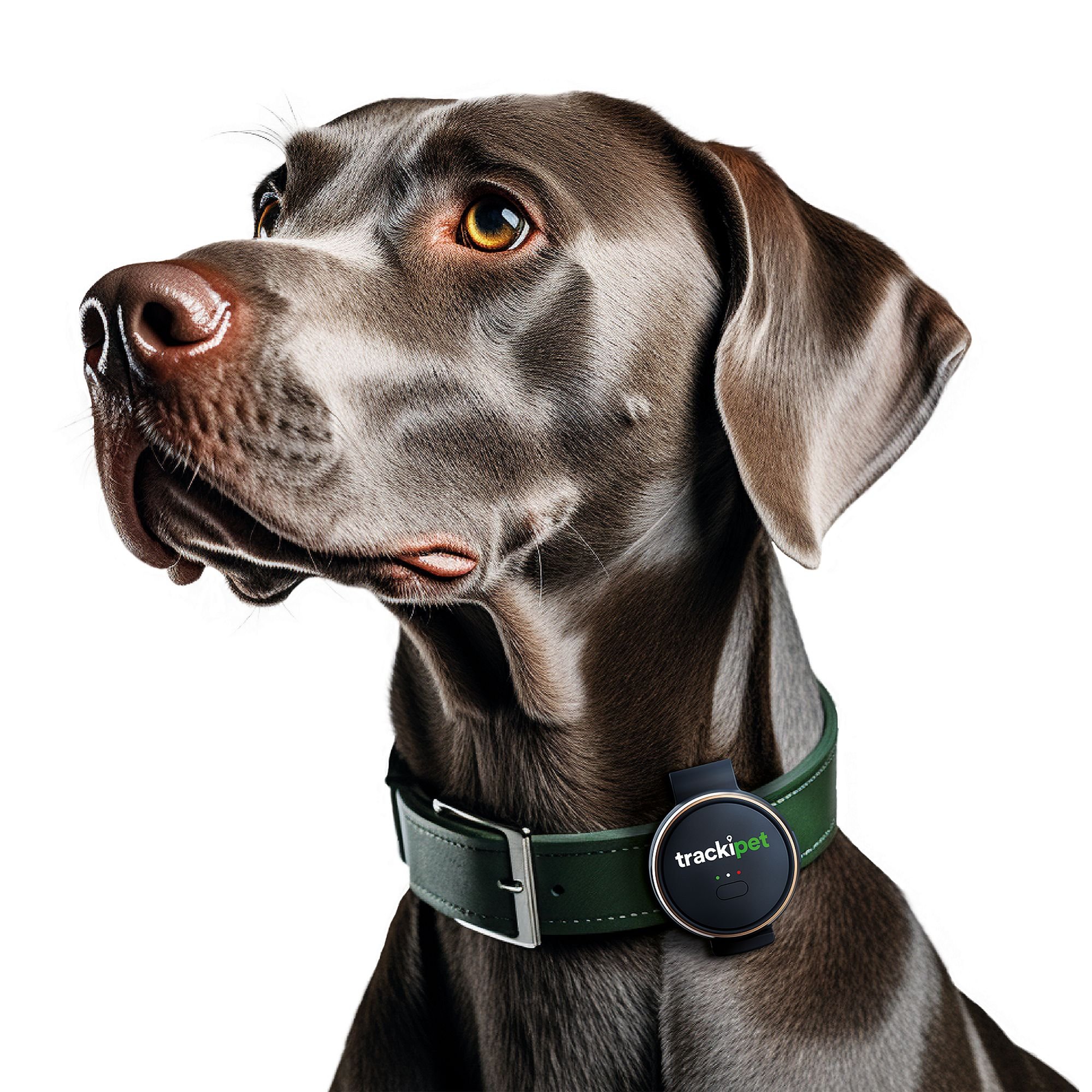 TrackiPet Smart GPS Dog Tracker, Slate