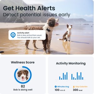 Tractive Dog GPS Tracker with Activity Monitoring, Black