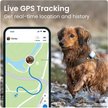 Show in main carousel: Tractive Dog GPS Tracker with Activity Monitoring, Fits any Collar, Beige slide 3 of 11