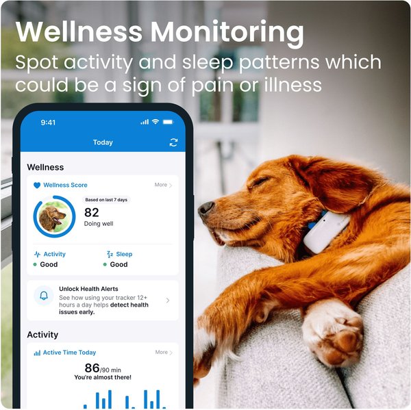 Show full view: Tractive Dog GPS Tracker with Activity Monitoring, Fits any Collar, Beige slide 4 of 11