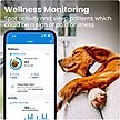 Show in main carousel: Tractive Dog GPS Tracker with Activity Monitoring, Fits any Collar, Beige slide 4 of 11