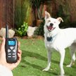 Show in main carousel: Trainer Dog Collar, Waterproof & Rechargeable with 320 Yards Range, 1 Collar slide 5 of 11