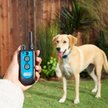 Show in main carousel: Trainer Dog Collar, Waterproof & Rechargeable with 3/4 Mile Range, 1 Collar, 1 Dog slide 5 of 8