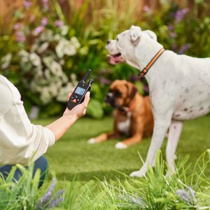 Trainer Dog Collar, Waterproof & Rechargeable with 430 Yard Range, 2 Collars