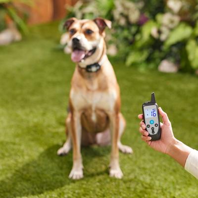 Show full view: Trainer Dog Collar, Waterproof & Rechargeable with 430 Yards Range, 1 Collar, Nylon slide 5 of 8