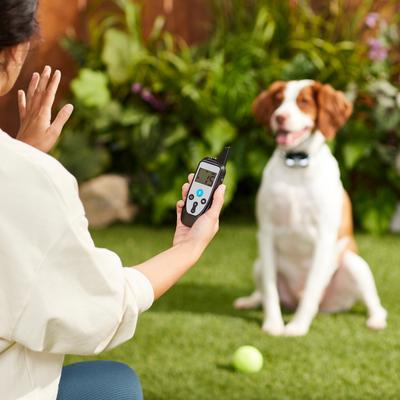 Show full view: Trainer Dog Collar, Waterproof & Rechargeable with 430 Yards Range, 1 Collar, TPU slide 5 of 8