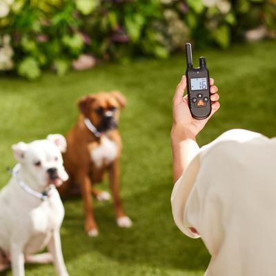 Show full view: Trainer Dog Collar, Waterproof & Rechargeable with 430 Yards Range, 2 Collars, TPU slide 5 of 8