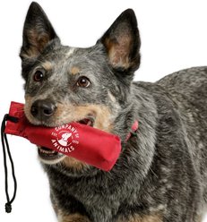 Training COA Canvas Dog Training Tool, Red, Medium slide 2 of 2