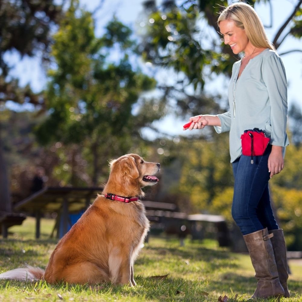 Training COA Target Dog Training Stick, Red