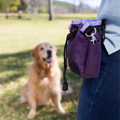 Show full view: Training COA Treat Bag Dog Training Tool, Red slide 4 of 5