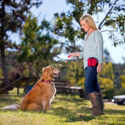Show full view: Training COA Whizzclick Dog Training Clicker, Blue slide 4 of 5