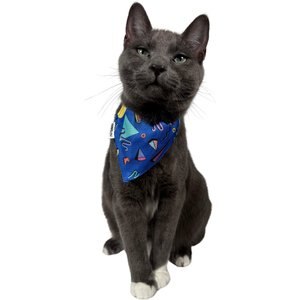 Travel Cat 90's Style Cat Bandana