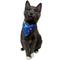 Show in main carousel: Travel Cat 90's Style Cat Bandana slide 1 of 6