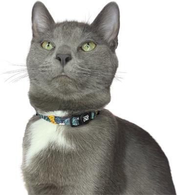 Show full view: Travel Cat Hawaiian Shirt Cat Collar slide 2 of 7