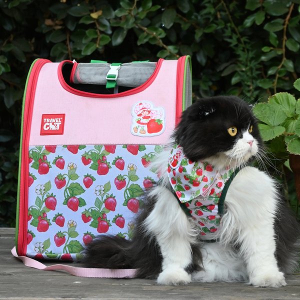 Show full view: Travel Cat Strawberry Shortcake x Travel Cat Bandana & Collar slide 6 of 8