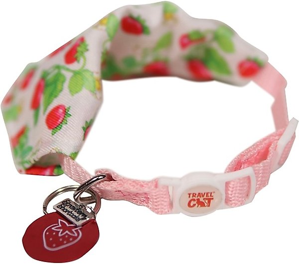 Show full view: Travel Cat Strawberry Shortcake x Travel Cat Bandana & Collar slide 4 of 8