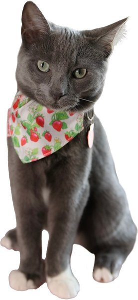 Show full view: Travel Cat Strawberry Shortcake x Travel Cat Bandana & Collar slide 2 of 8