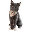 Show in main carousel: Travel Cat Strawberry Shortcake x Travel Cat Bandana & Collar slide 2 of 8