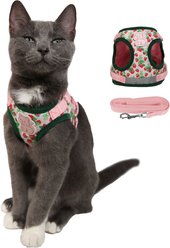 Travel Cat Strawberry Shortcake x Travel Cat Harness & Leash Set, Large