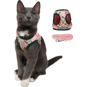 Travel Cat Strawberry Shortcake x Travel Cat Harness & Leash Set, Large