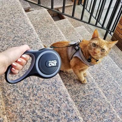 Show full view: Travel Cat The Captain Cat Leash slide 2 of 7