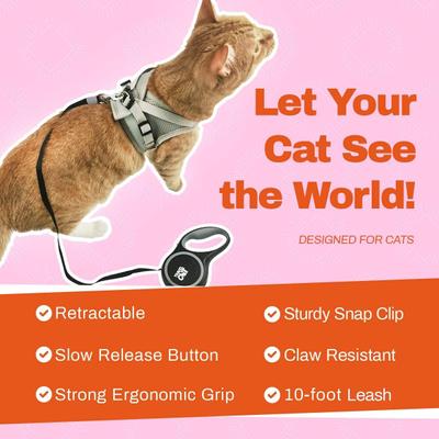 Show full view: Travel Cat The Captain Cat Leash slide 5 of 7