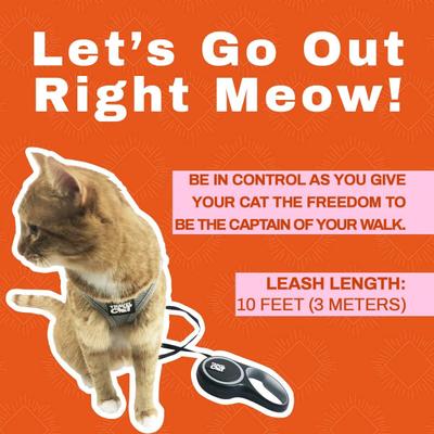 Show full view: Travel Cat The Captain Cat Leash slide 6 of 7