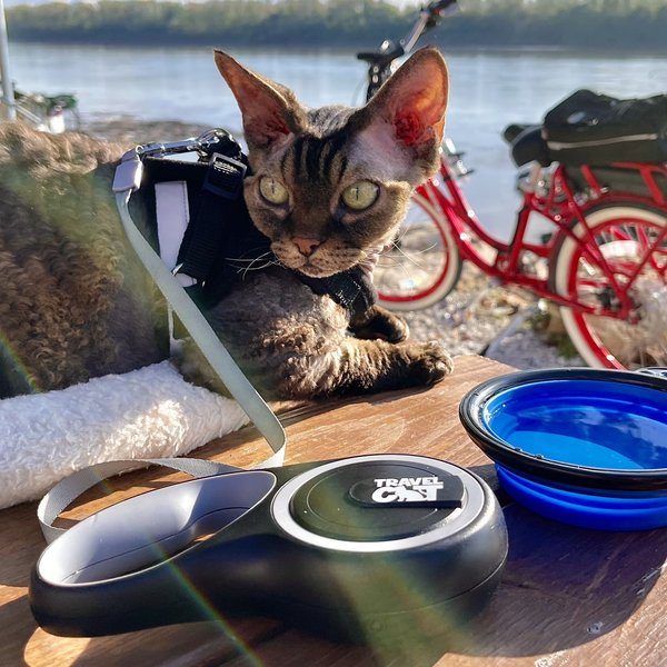 Show full view: Travel Cat The Captain Cat Leash slide 7 of 7