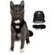 Show in main carousel: Travel Cat The True Adventurer Reflective Cat & Kitten Harness & Leash, Black, Extra-Small slide 1 of 12