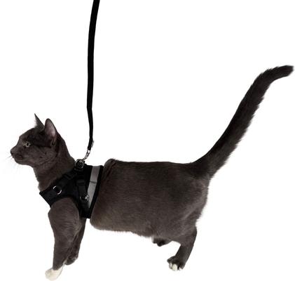 Show full view: Travel Cat The True Adventurer Reflective Cat & Kitten Harness & Leash, Black, Small slide 7 of 12