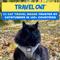Show in main carousel: Travel Cat The True Adventurer Reflective Cat & Kitten Harness & Leash, Grey, Medium slide 6 of 13
