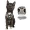 Show in main carousel: Travel Cat The True Adventurer Reflective Cat & Kitten Harness & Leash, Grey, Small slide 1 of 13