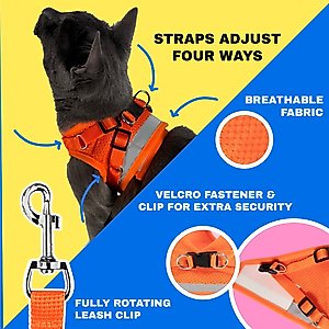 Travel Cat The True Adventurer Reflective Cat & Kitten Harness & Leash, Orange, Medium