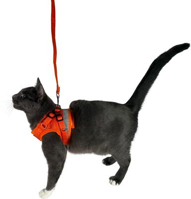 Show full view: Travel Cat The True Adventurer Reflective Cat & Kitten Harness & Leash, Orange, Medium slide 7 of 12