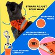 Show in main carousel: Travel Cat The True Adventurer Reflective Cat & Kitten Harness & Leash, Orange, Small slide 3 of 12