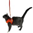 Show in main carousel: Travel Cat The True Adventurer Reflective Cat & Kitten Harness & Leash, Orange, Small slide 7 of 12
