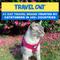 Show in main carousel: Travel Cat The True Adventurer Reflective Cat & Kitten Harness & Leash, Pink, Extra-Small slide 5 of 12
