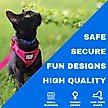 Show in main carousel: Travel Cat The True Adventurer Reflective Cat & Kitten Harness & Leash, Pink, Extra-Small slide 4 of 12