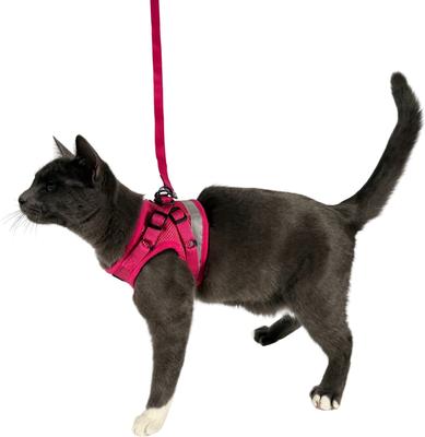 Show full view: Travel Cat The True Adventurer Reflective Cat & Kitten Harness & Leash, Pink, Large slide 7 of 12