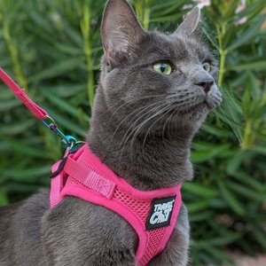 Travel Cat The True Adventurer Reflective Cat & Kitten Harness & Leash, Pink, Small